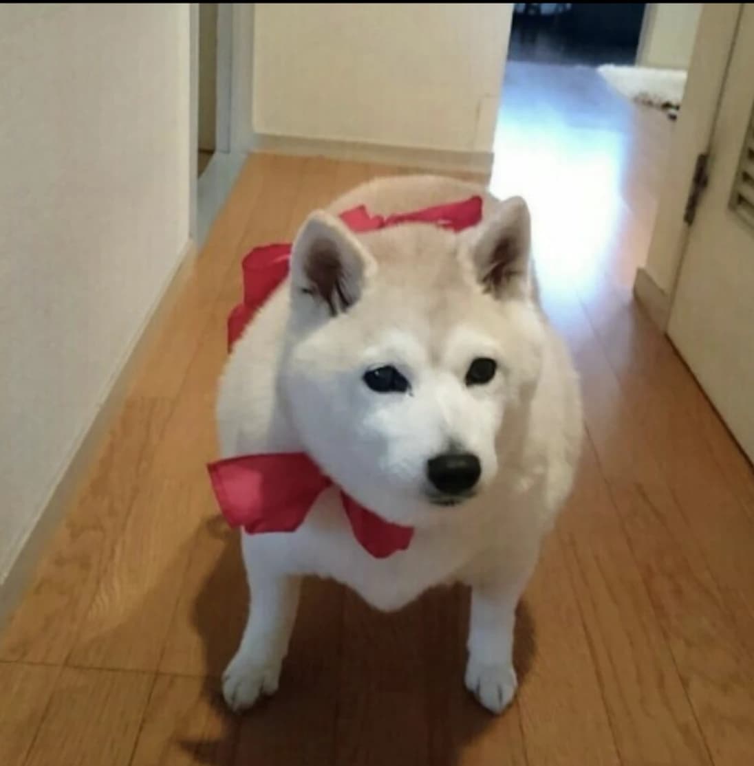 たくま